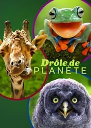 Drôle de planète streaming