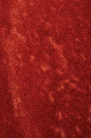 Dressed to Kill a Watermelon Man (2025)