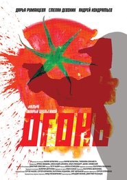 Poster Fire 2017