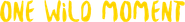 One Wild Moment Logo