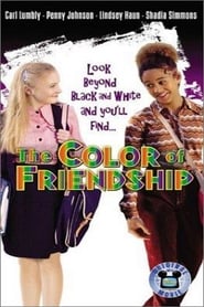 The Color of Friendship постер