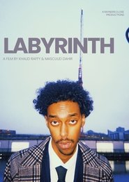 Labyrinth (2025)