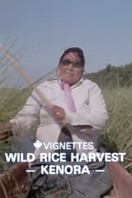 Canada Vignettes: Wild Rice Harvest Kenora
