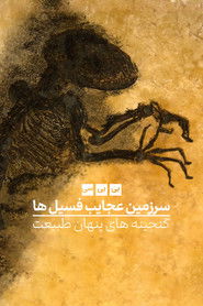 Fossil Wonderlands: Nature's Hidden Treasures (2014)