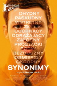 Plakat — Synonimy