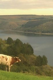 Я вже не уїду нікуда