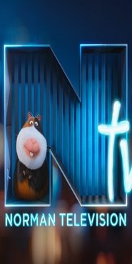 Norman Television (2016) Norman Television (2016)