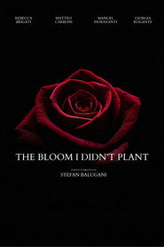 The Bloom I Didn't Plant