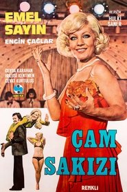 Poster Çam Sakızı 1974
