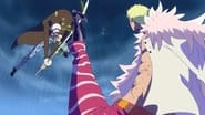 An Intense Battle! Law vs. Doflamingo!