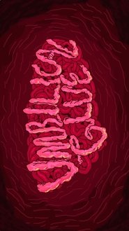 Poster Umbilical Glue 2017