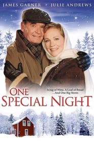 One Special Night постер