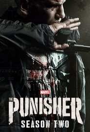 Marvel’s The Punisher Season 2 Episode 8