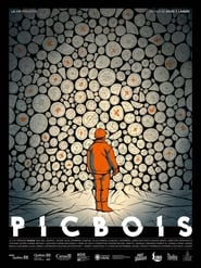 Poster Picbois