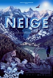 Neige streaming