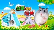 仓鼠益智闯关 en streaming