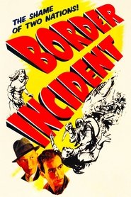 Border Incident