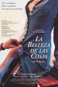 La belleza de las cosas poster