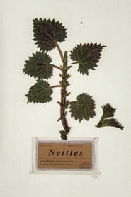 Poster Nettles