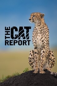 Poster The Cat Report - Season 1 Episode 11 : Episode 11 2018