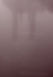 Poster Presence Without Presence 2019