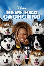 Imagem Neve pra Cachorro