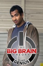 The Big Brain Theory Episode Rating Graph poster