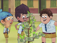 Money Plant