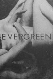 Poster Evergreen