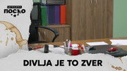 2390 Divlja je to zver