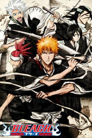 Bleach (2004)