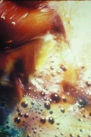 Poster Jewel Face 1964