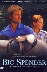 Poster Big Spender 2003