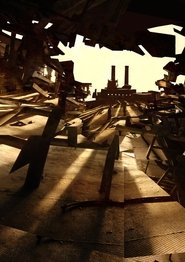 Poster Hanasaari A 2009