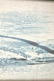 Poster Airs 1976