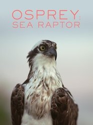 Poster Osprey: Sea Raptor 2021