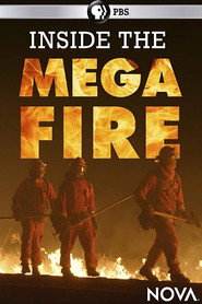 Inside The Megafire