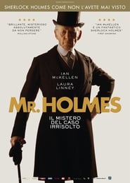 Mr. Holmes – Il mistero del caso irrisolto