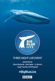 Big Blue Live постер