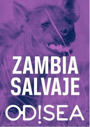 Tales from Zambia (2018)