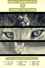 Puma Matriarchs of Torres Del Paine