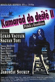 Poster Kamarád do deště II. – Příběh z Brooklynu 1992