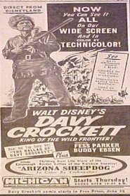 Arizona Sheepdog (1955)