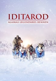 Poster Iditarod - Alaskas legendäres Rennen