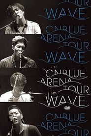 CNBLUE 2014 Arena Tour -Wave- 2015