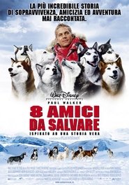 8 amici da salvare