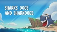 Sharks, Dogs and Sharkdogs / Sharkdoggy Day / Fins That Go Bump in the Night