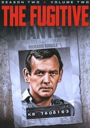 The Fugitive: Season 2