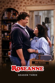 Roseanne Season 3 6