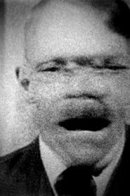 Poster Conference (Notes on Film 05) 2011